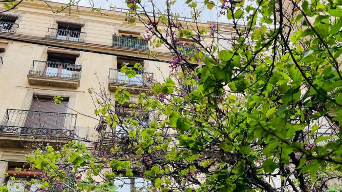 Vivienda comprada en Calle Salomo Ben Adret, Barcelona